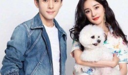 李佳琦杨幂最新的爆料,揭秘娱乐圈幕后真相！